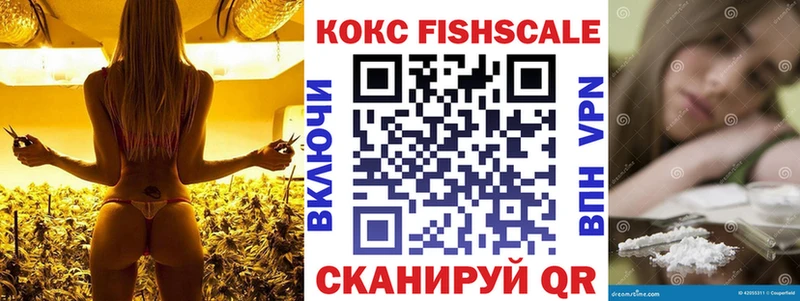 МЕГА как войти  Краснослободск  КОКАИН Fish Scale  магазин продажи  
